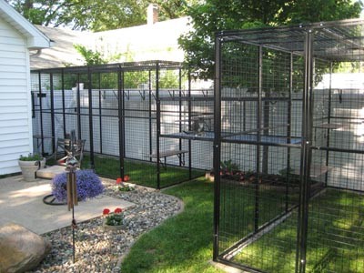 Animal Cages and Feeders